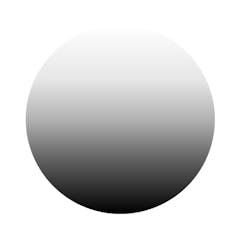 Coasty logo